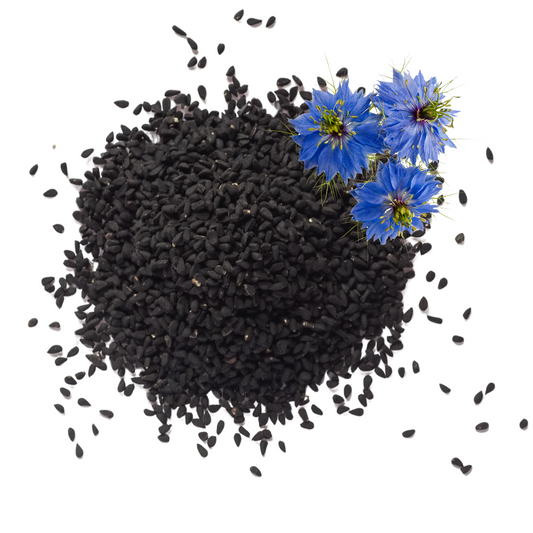 Graine de Nigelle
